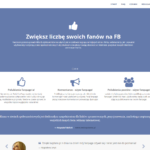 BuyFans - tania reklama w Social Media